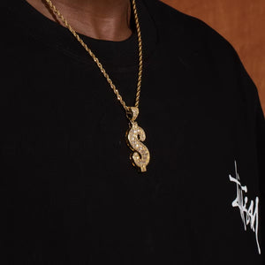 Abundance Dollar Pendant